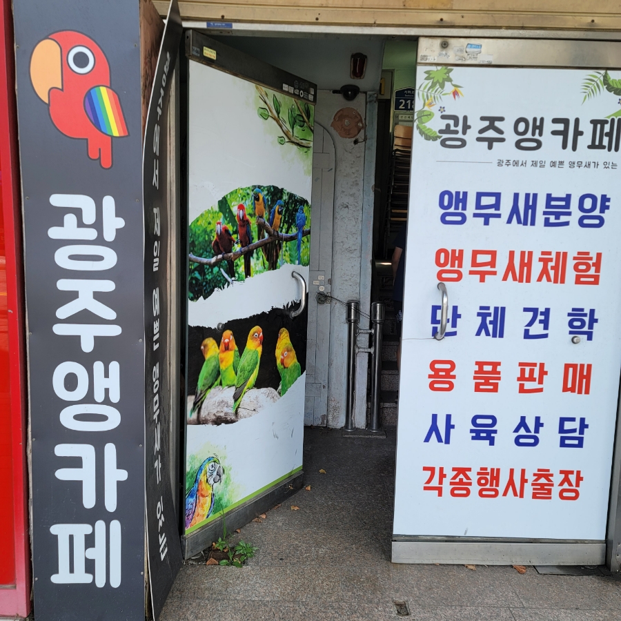 광주앵카페 이미지