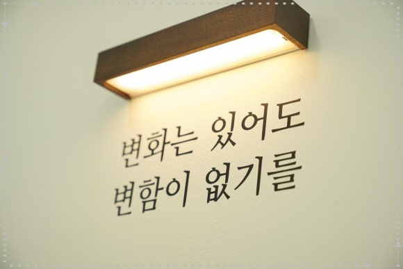 비올레 마지 이미지