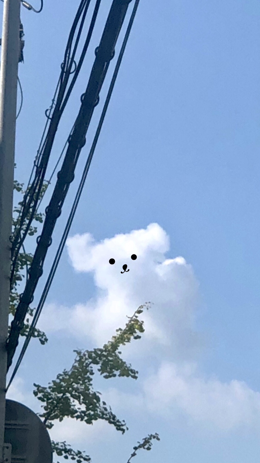한비다방 이미지
