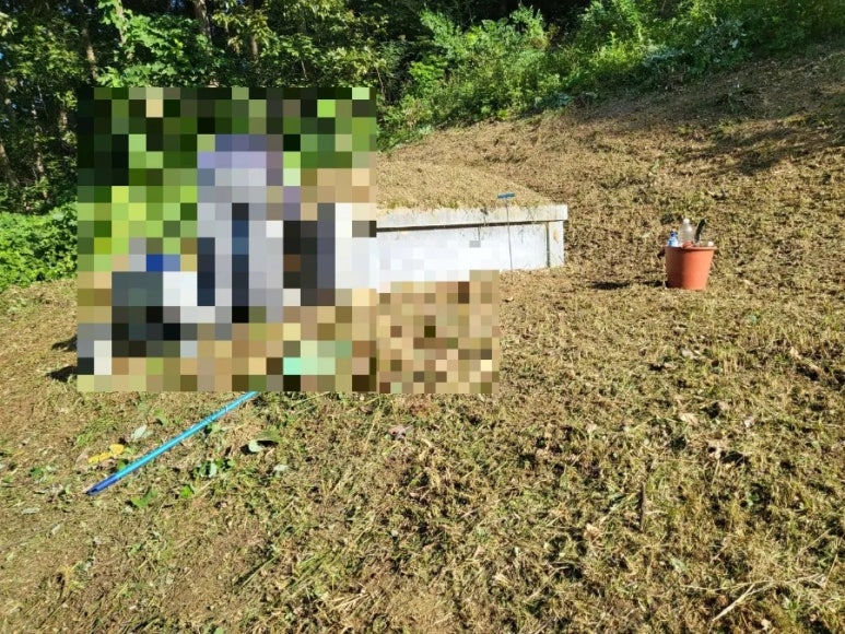 고인돌상조 이미지