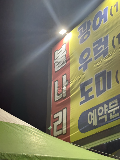 불나리 이미지