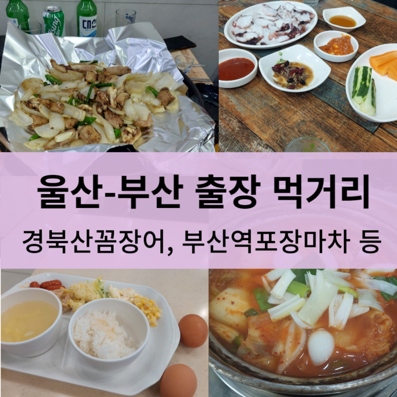 울산산꼼장어 이미지