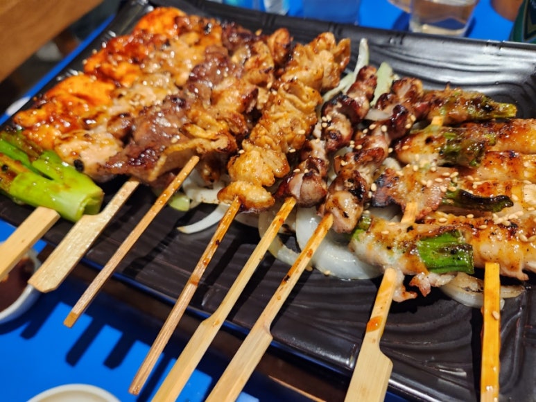 갈라파꼬치 이미지