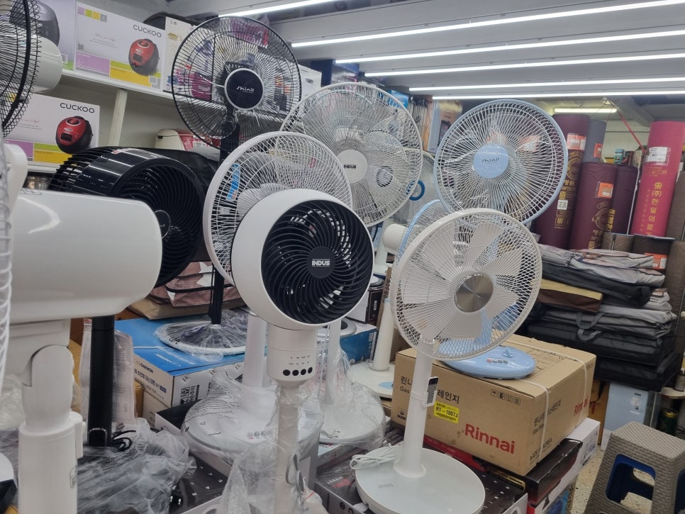 삼창사 이미지