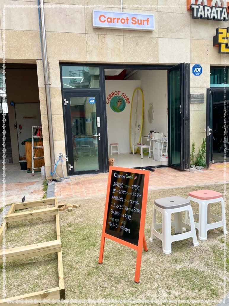 서프포인트 이미지