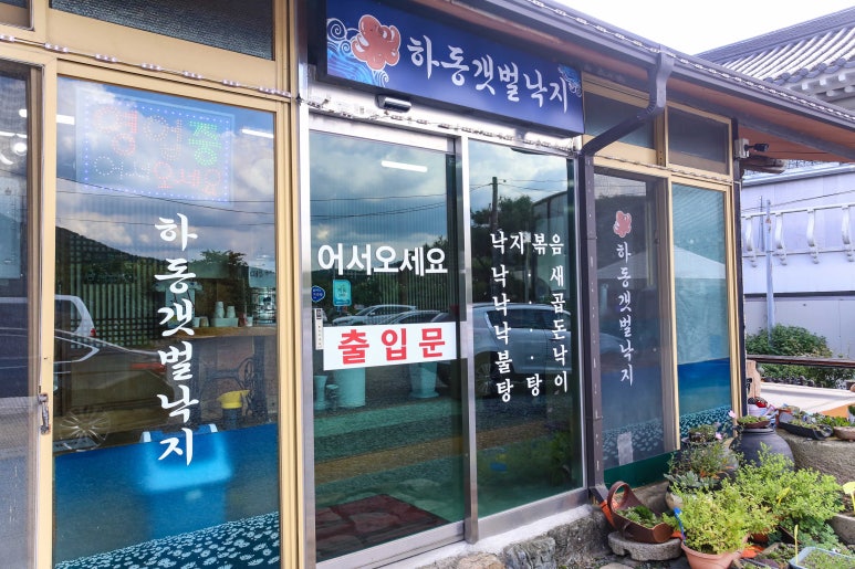 갯벌낙지 이미지