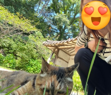 아지매회센터.포차 이미지