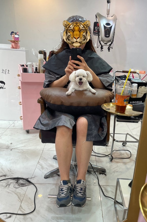 진희헤어샵 이미지