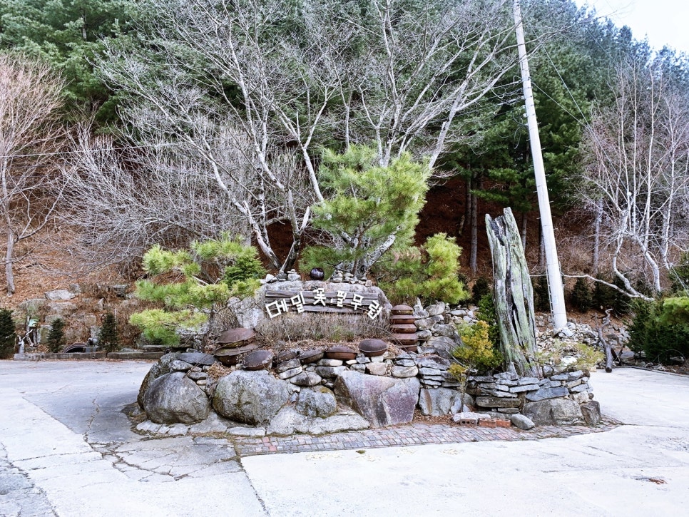 강원도봉평메밀막국수 이미지