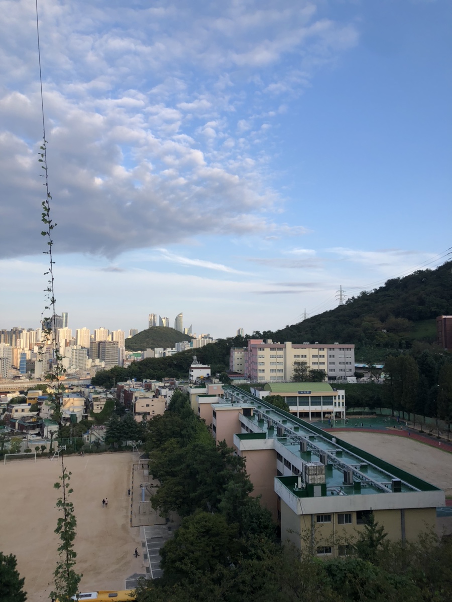 골드세탁소 이미지