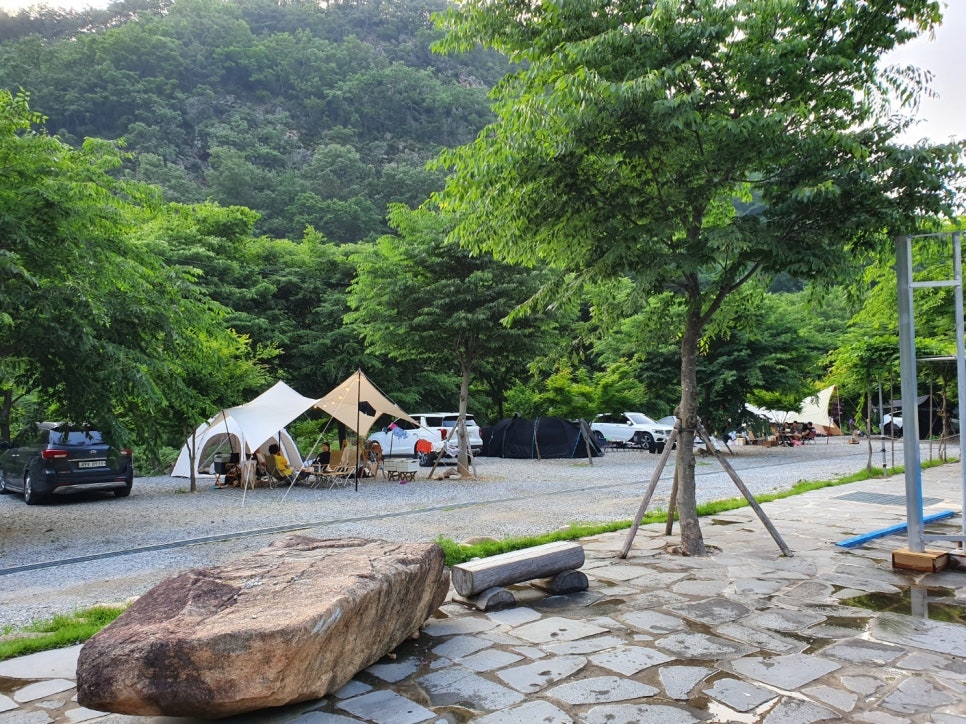 숲이조아 캠핑장 이미지