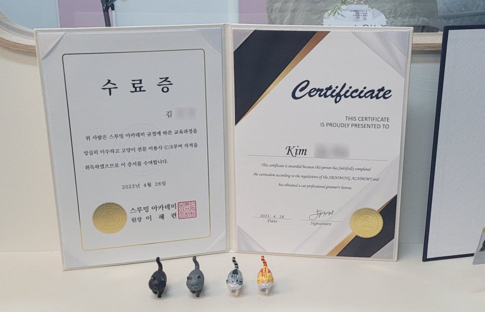 카밍캣 고양이미용 이미지