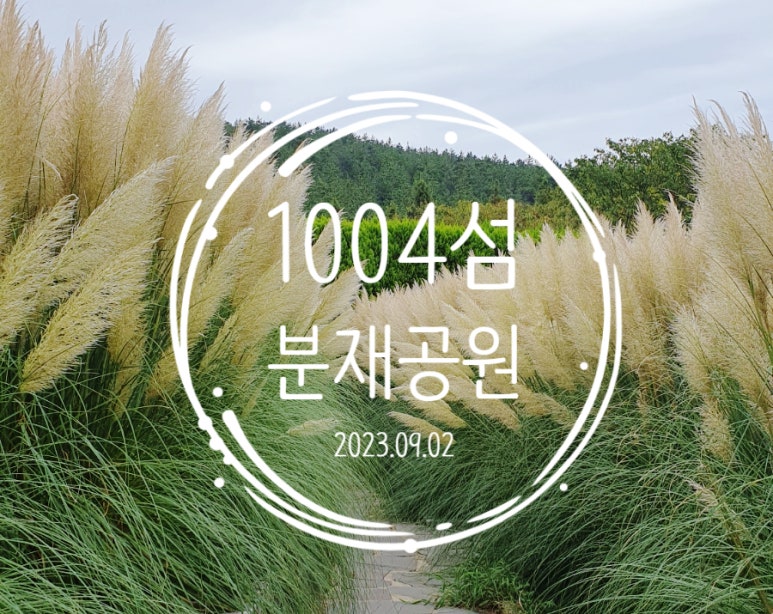 섬마을회정식 이미지