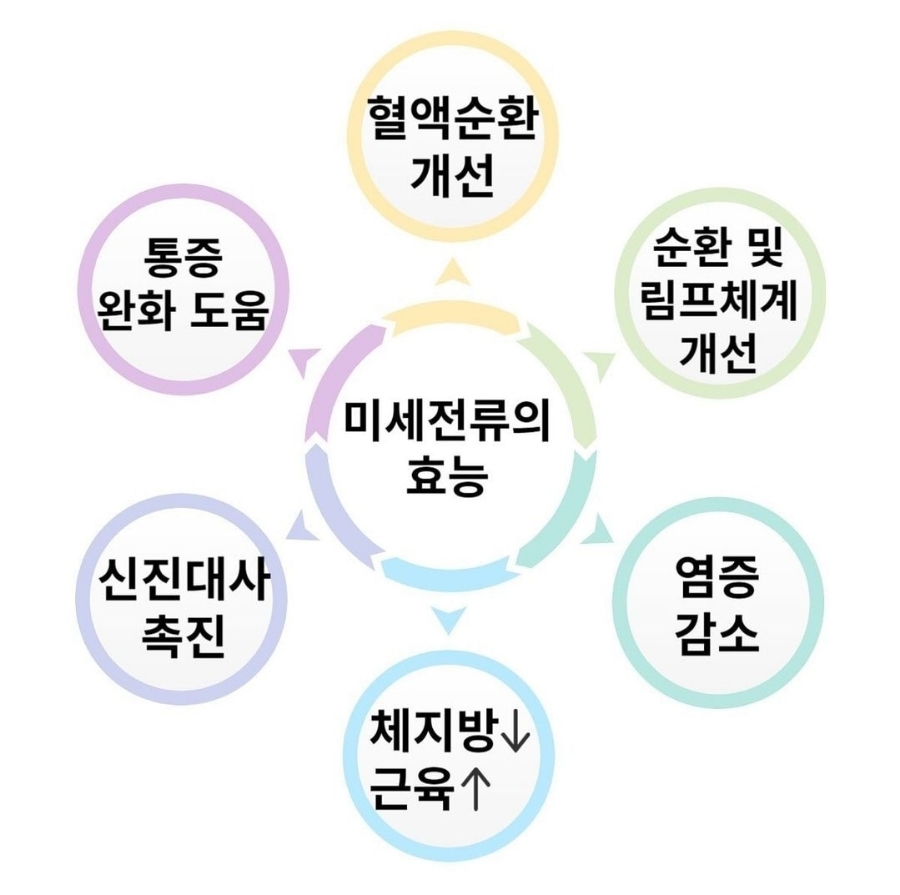 대단한몸매분당이매점 이미지