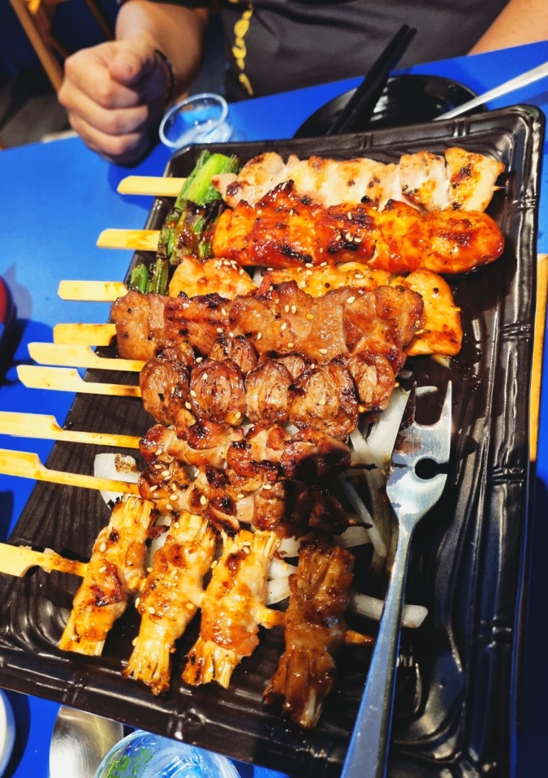 갈라파꼬치 이미지