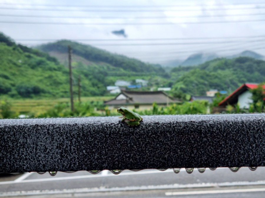 서상부엌 이미지