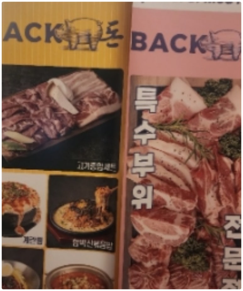 빽돈 이미지