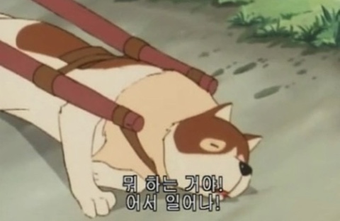 엔씨파크 이미지