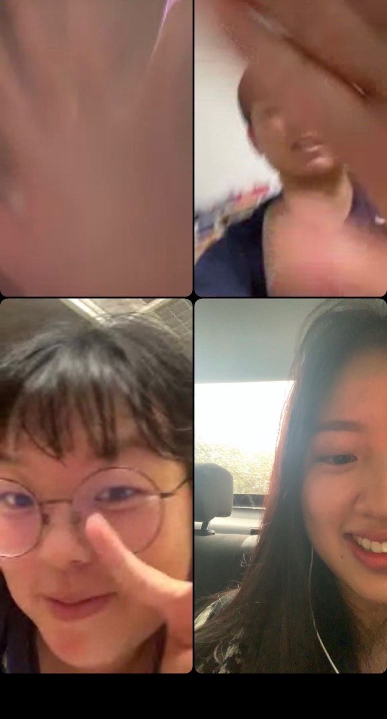라삐도 이미지