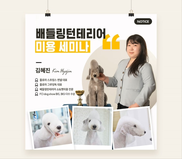 김재용애견미용학원 이미지