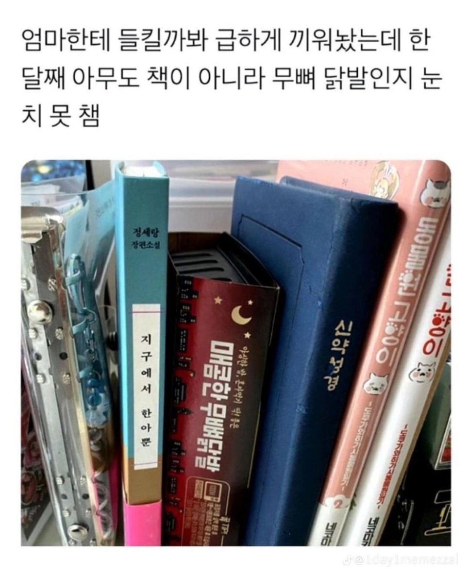 아산가야밀면 이미지