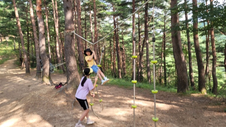 삼척동자 유아숲체험원 이미지