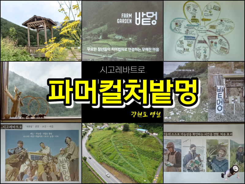 밭멍 이미지
