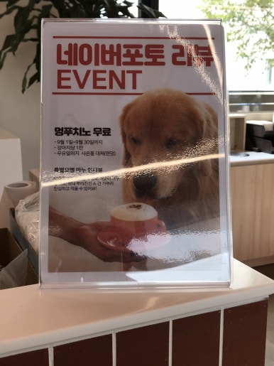 카페 더쿠 이미지