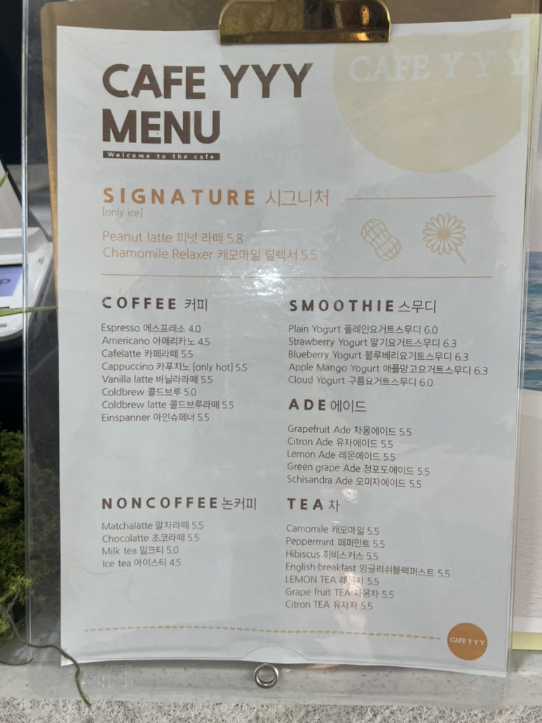 와이와이와이 이미지