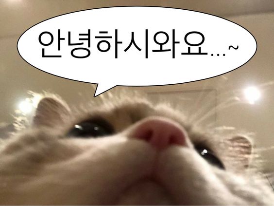 오이지스튜디오 이미지