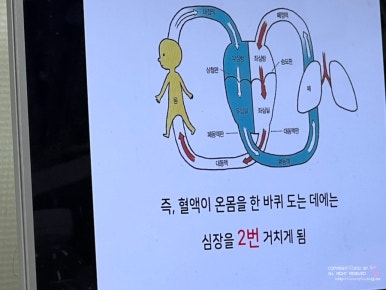 사이언스팀 이미지