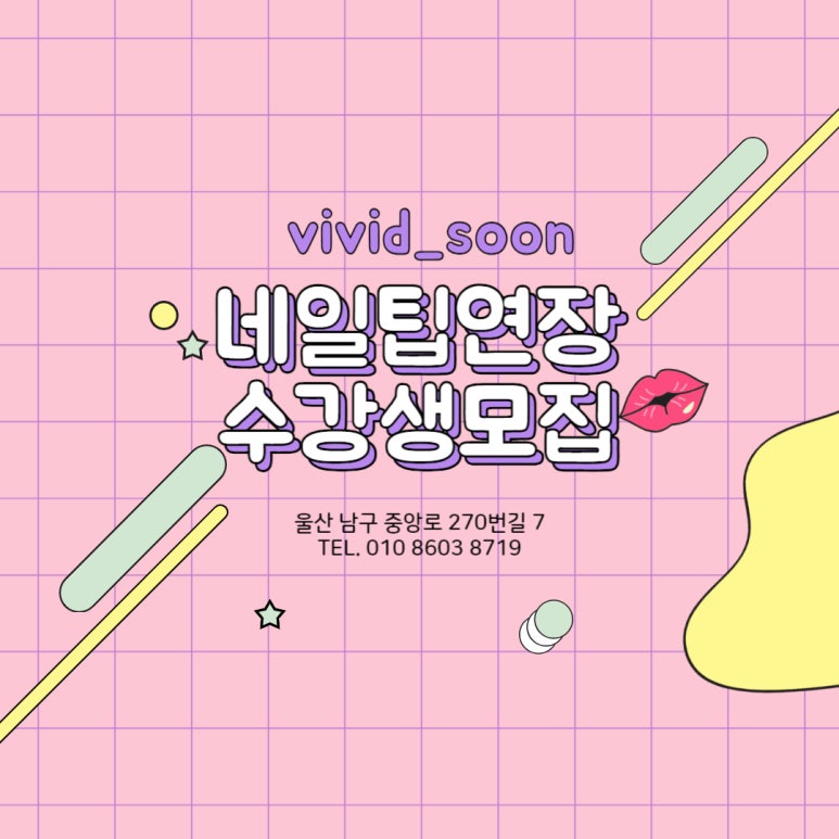 비비드순 이미지