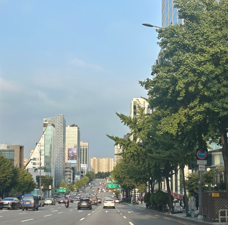 와이제이갤러리 이미지