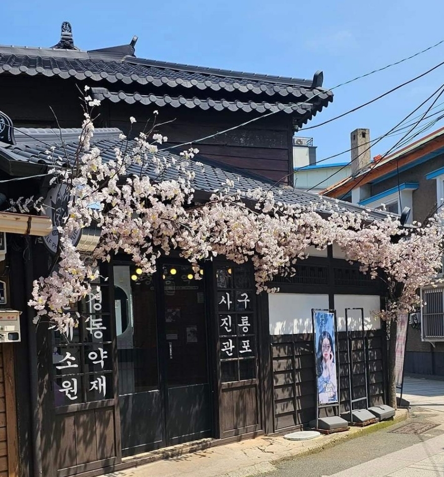 구룡포회센터 이미지