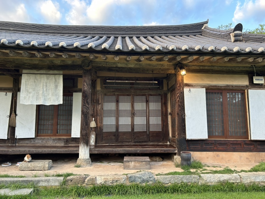 차꽃오미 이미지