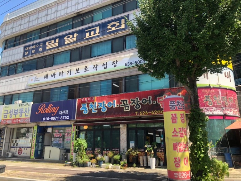 기동이네풍천장어 이미지