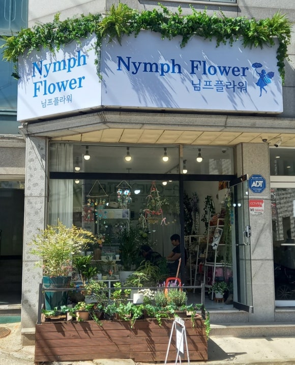님프플라워 이미지