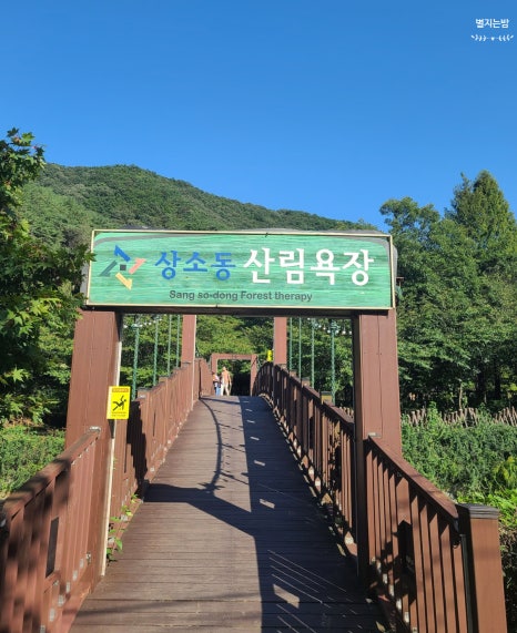 짜장왕국 이미지