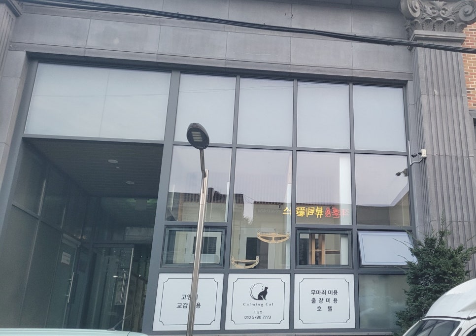 카밍캣 고양이미용 이미지