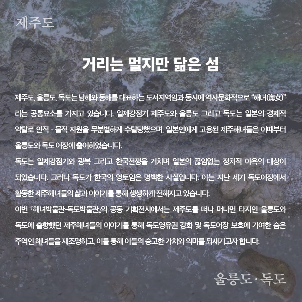 독도어장 이미지