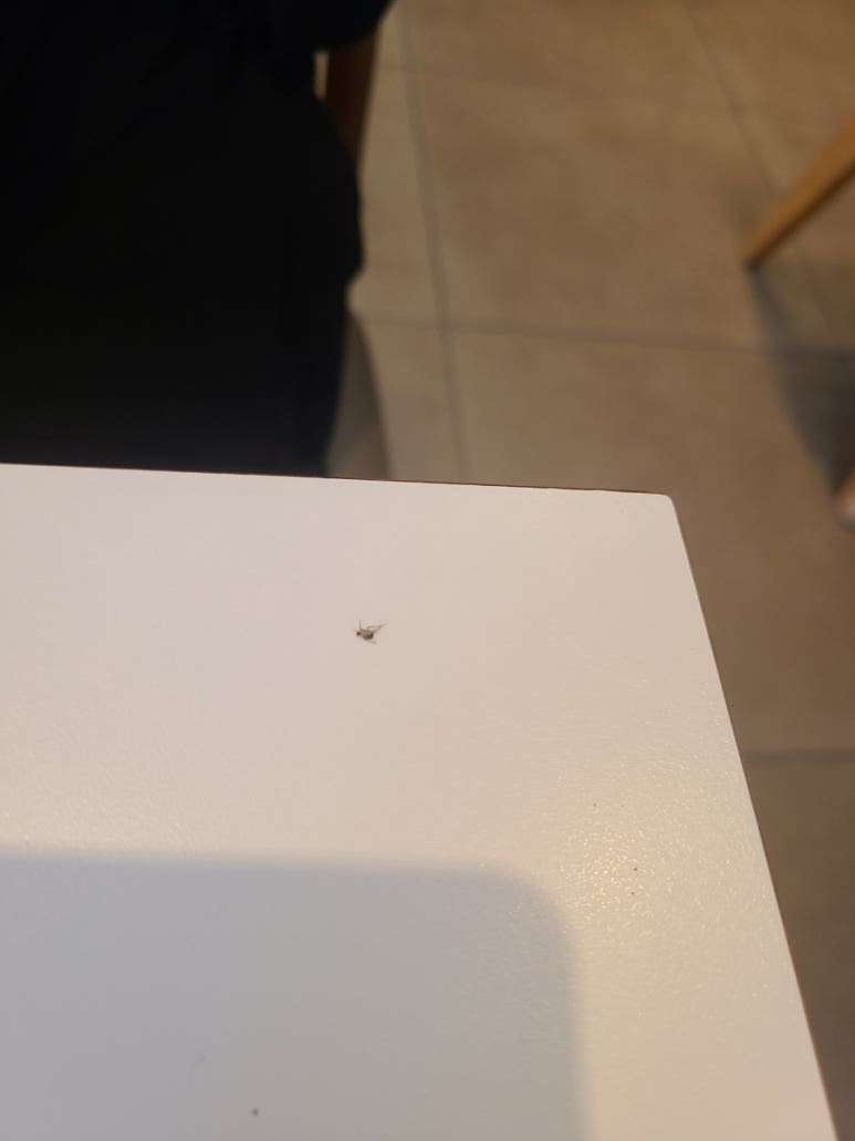 이디야기흥 이미지