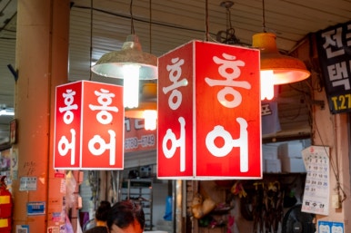 홍어사랑 이미지