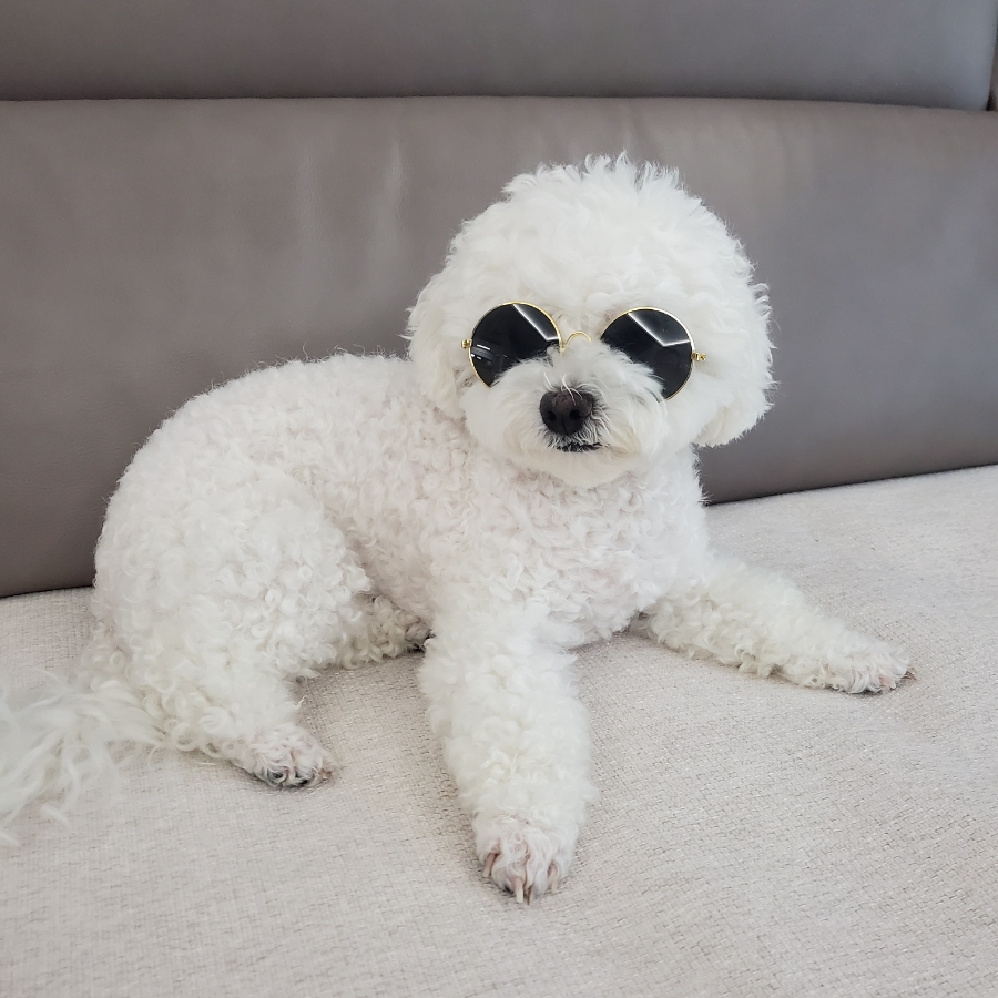 도솔치과의원 이미지