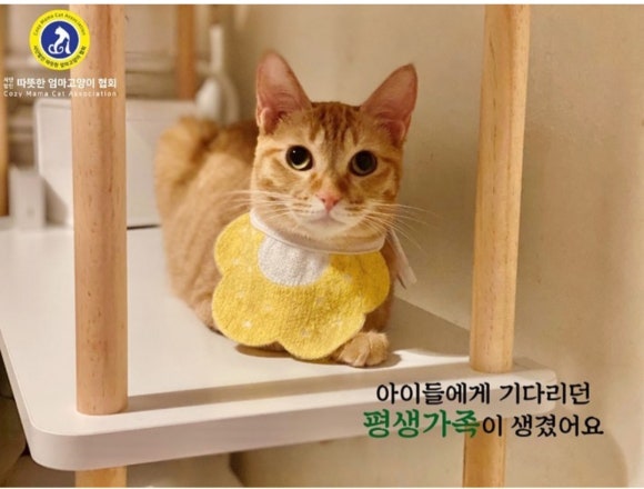 손손 이미지