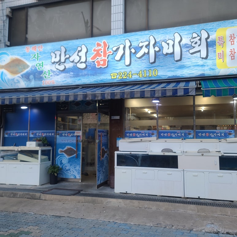 만선참가자미 이미지