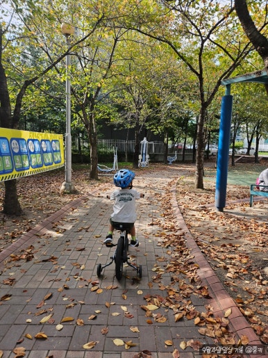 황남쫀디기 보문점 이미지