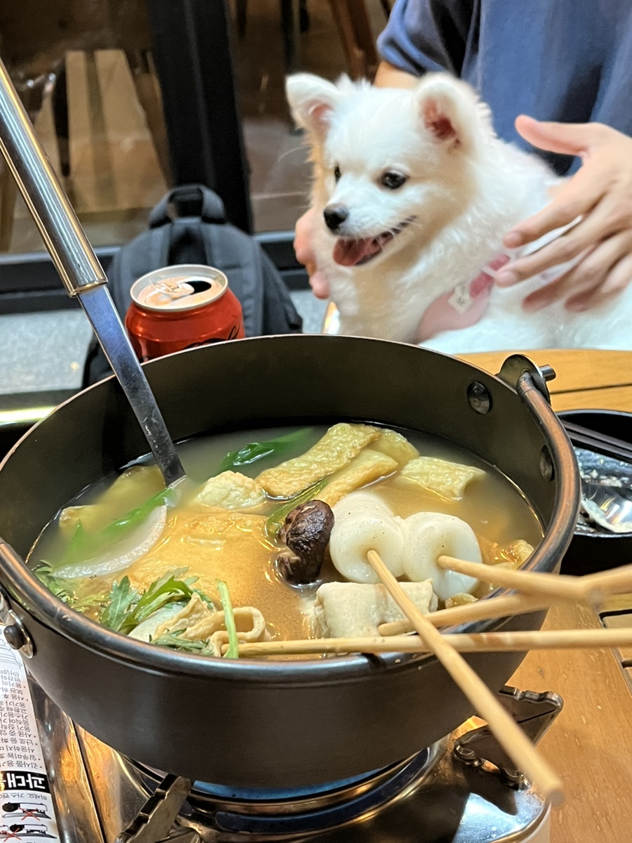 결찌 이미지