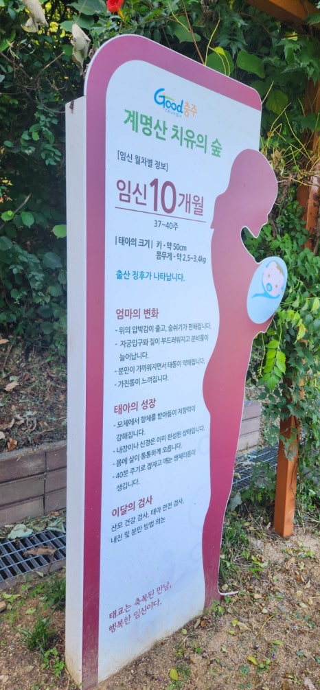 계명산 치유의 숲 이미지