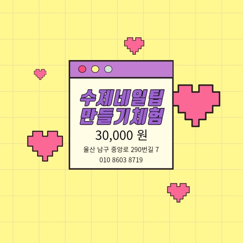 비비드순 이미지