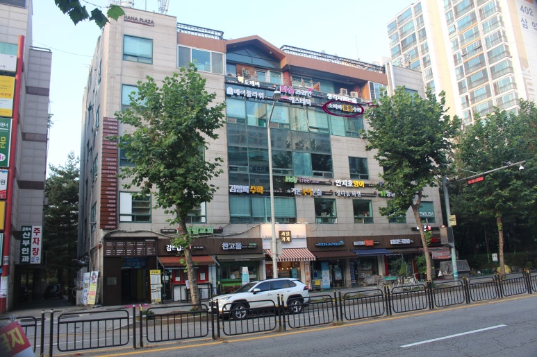 소피아플룻수리 이미지